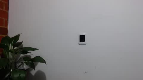 Abelardo online show from 04/06/26, 04:57