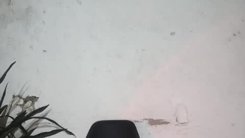 Snapshot of moreno_lutador chatting on 02/24/25, 06:27 John john online show from 02/24/25, 06:27