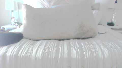 Didier online show from 03/02/26, 05:20