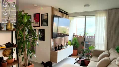   online show from 02/21/26, 09:27