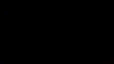 Snapshot of mospeleu chatting on 03/01/25, 05:49 Nomadu online show from 03/01/25, 05:49