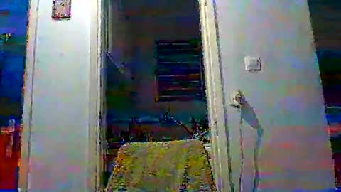 mppempis81 online show from 11/19/25, 03:45