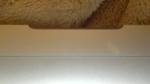 Snapshot of mr_himm chatting on 04/23/26, 12:56 mr_himm online show from 04/23/26, 12:56
