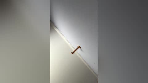 Hunter online show from 02/14/26, 09:11