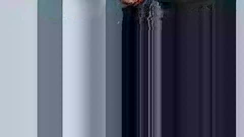 mr_i_ online show from 03/10/25, 08:37