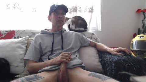 mrcock_col online show from 04/08/26, 05:13