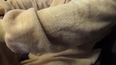 Snapshot of mrdelapampa chatting on 11/26/25, 11:55 mrdelapampa online show from 11/26/25, 11:55