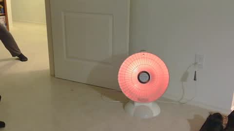 Snapshot of mrf388 chatting on 11/17/25, 12:33 IwantU2WatchME online show from 11/17/25, 12:33