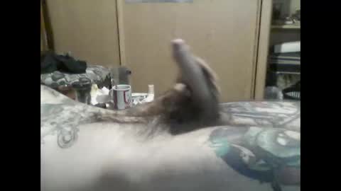 mrfumao online show from 06/08/26, 06:14