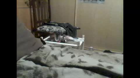 mrfumao online show from 06/09/26, 12:33