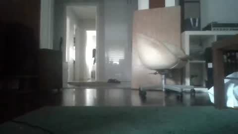 Nikola online show from 02/04/26, 07:03