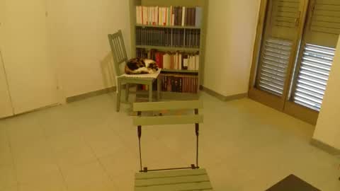 mrkurt86 online show from 11/19/25, 01:55