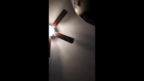 Snapshot of mrorange50187 chatting on 12/22/24, 01:11 mrorange50187 online show from 12/22/24, 01:11