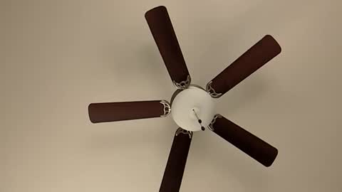 Snapshot of mrorange50187 chatting on 01/08/25, 05:48 mrorange50187 online show from 01/08/25, 05:48