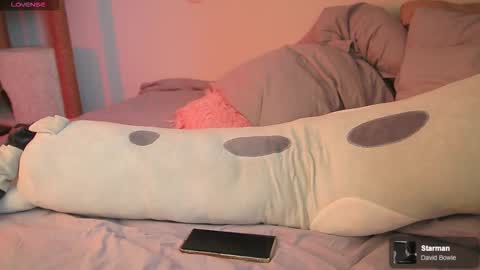 Allison online show from 03/28/26, 08:47