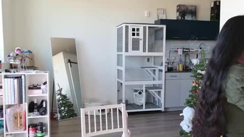 Snapshot of ms_mochii chatting on 10/25/25, 06:35 R o r i SnapChat heyroriv2 wednesday - sunday Noon oclock mountain - 5pm mountain online show from 10/25/25, 06:35