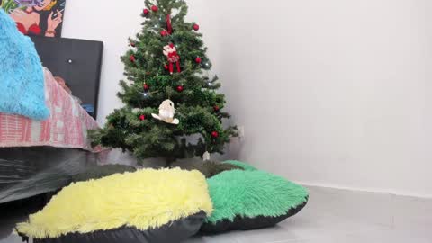 Snapshot of msschloee chatting on 12/11/24, 08:07 Chloe new account online show from 12/11/24, 08:07