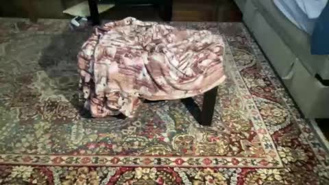 much_fun1 online show from 02/01/26, 03:21