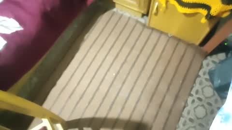 Snapshot of muchachosam chatting on 10/26/25, 02:50 zenon online show from 10/26/25, 02:50