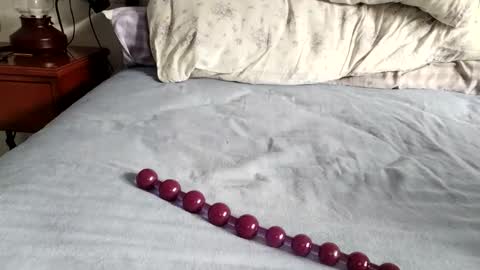 Laly online show from 11/24/25, 08:36