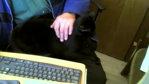 muller520 online show from 02/04/25, 04:50