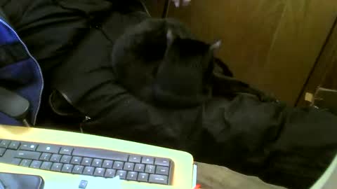 muller520 online show from 02/12/25, 04:55