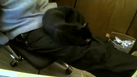 muller520 online show from 02/19/25, 05:06