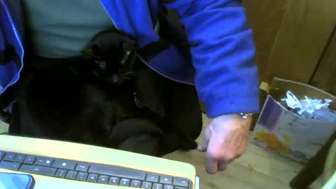 muller520 online show from 02/22/25, 11:13