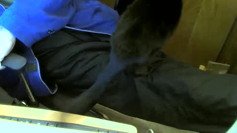 muller520 online show from 02/23/25, 03:18