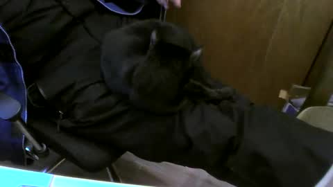 muller520 online show from 02/26/25, 03:41