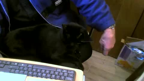 muller520 online show from 02/27/25, 05:26