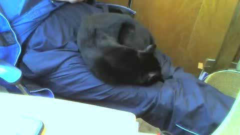 muller520 online show from 09/15/25, 02:50