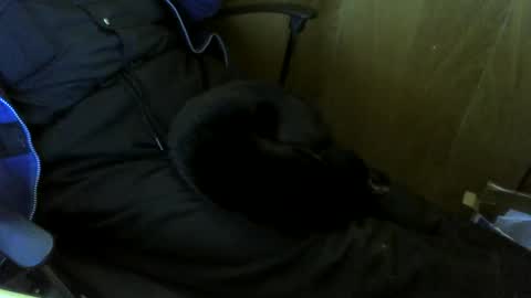 muller520 online show from 10/29/25, 01:57