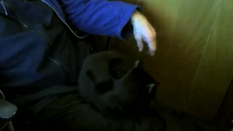 muller520 online show from 01/09/26, 04:21