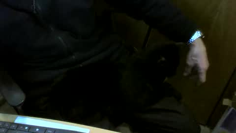 muller520 online show from 02/10/26, 04:44