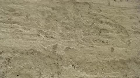 Snapshot of mullty chatting on 12/18/24, 08:36 Mullty online show from 12/18/24, 08:36