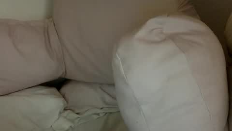   online show from 12/29/24, 10:03