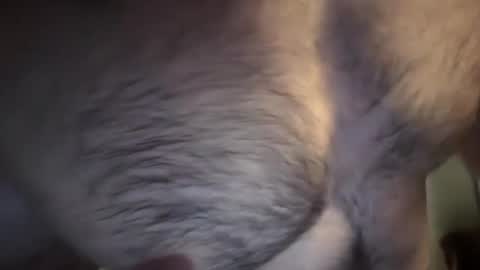 musclehair3 online show from 02/10/25, 07:17