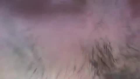 Snapshot of musclehair3 chatting on 07/13/26, 08:11 musclehair3 online show from 07/13/26, 08:11