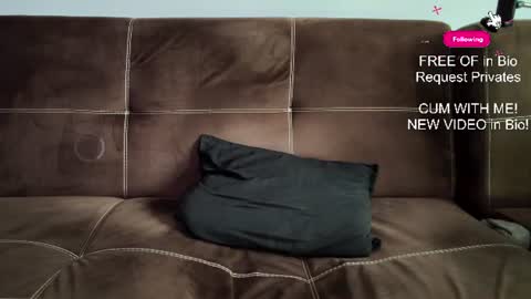 mushroomcouch online show from 06/27/26, 07:46
