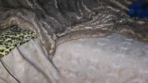 Muzzy online show from 04/18/26, 10:43