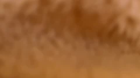 Snapshot of myassistant chatting on 02/12/25, 09:33 Mya-be Yours P online show from 02/12/25, 09:33