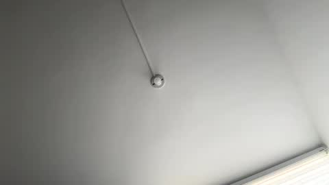 jacke BUNNY online show from 03/12/25, 08:52