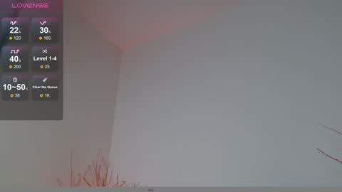 Mylo Wallace  online show from 12/17/24, 04:21