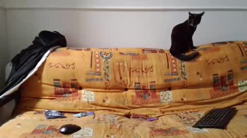 a Ordinary Boy online show from 02/15/26, 02:19