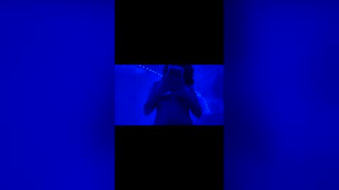 naelove2222 online show from 04/20/26, 06:27