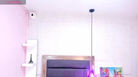   SHELBY   online show from 01/14/26, 12:11