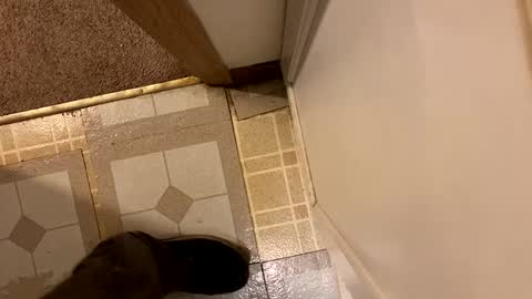 nairda2senoniuq online show from 12/20/24, 12:08