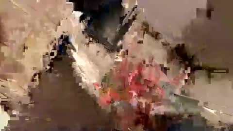 nairda2senoniuq online show from 12/22/24, 08:03