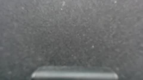 naise online show from 01/18/25, 07:59